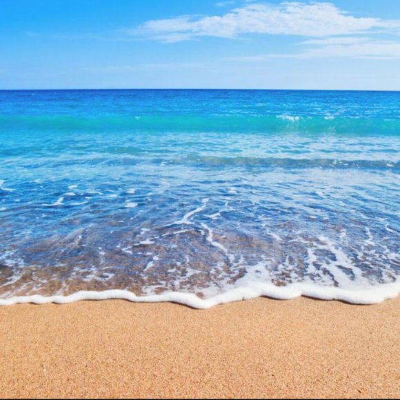 Meet your Posher, Amy - Picture 1 of 1